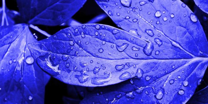 1920x1080 Download Nature Wallpapers Full HD 1080p Photo Desktop Backgrounds