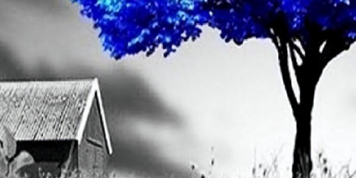 1080x1920 OnePlus 5 Wallpapers HD