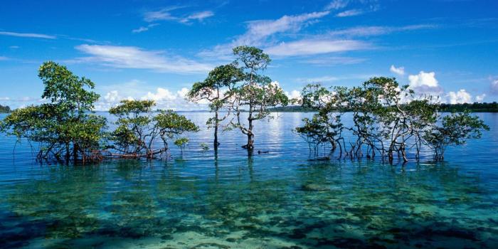 2560x1527 Nature Wallpapers - SaF Wallpapers