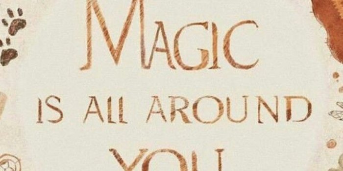 720x1280 Harry Potter Thanksgiving Wallpapers - Top Free Harry Potter