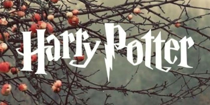 1080x1920 Harry Potter Thanksgiving Wallpapers - Top Free Harry Potter