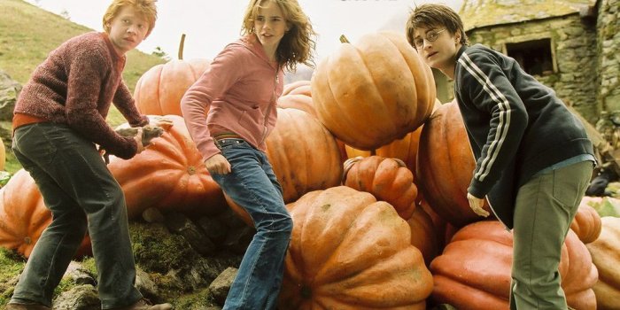 1024x768 Movies: Harry Potter and the Prisoner of Azkaban, picture nr. 9595