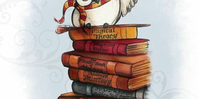 783x1280 Harry Potter Wallpaper by unicornparty2008 - 47 - Free on ZEDGE™