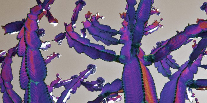 1920x1080 Weird Tag wallpapers: Weird Sky Black Clouds Lightning 3d Pictures