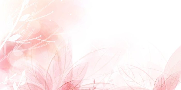1920x1200 Light Pink Wallpapers