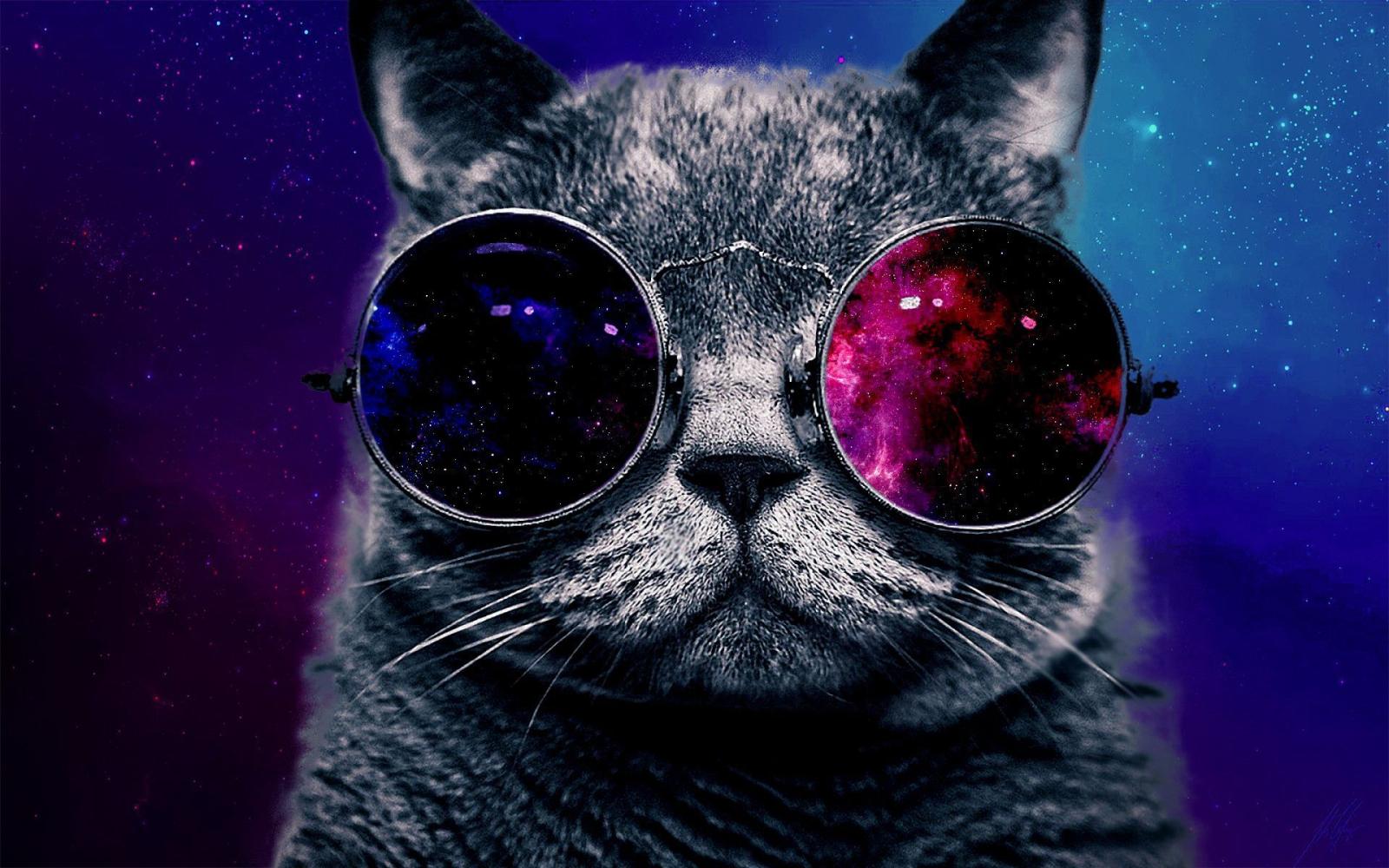 1920x1200 Hipster Galaxy Cat Wallpapers - Top Free Hipster Galaxy Cat