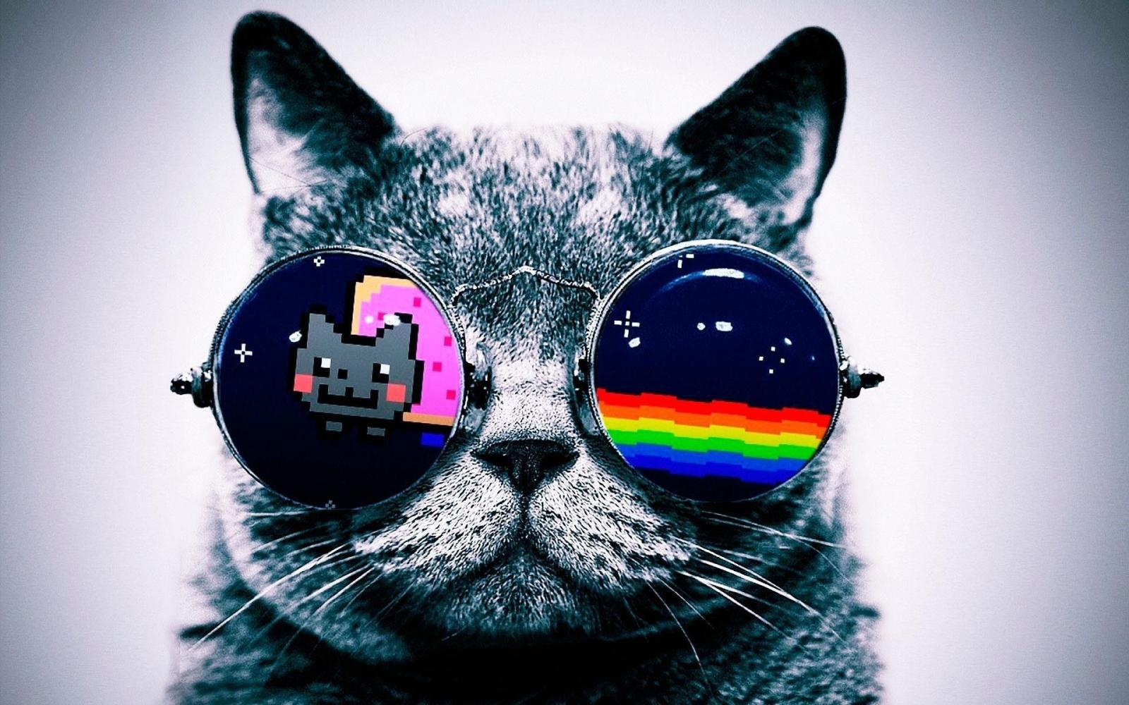 1920x1200 Hipster Galaxy Cat Wallpapers - Top Free Hipster Galaxy Cat