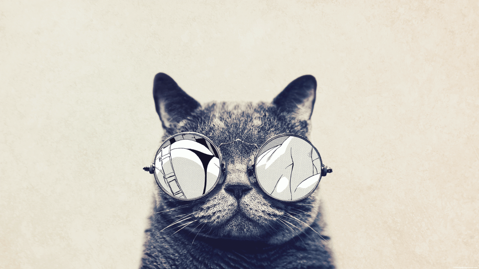 1920x1080 Hipster Cat Wallpapers - Top Free Hipster Cat Backgrounds