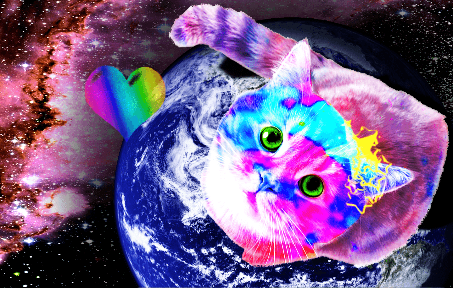 1440x917 Galaxy Cat Wallpapers