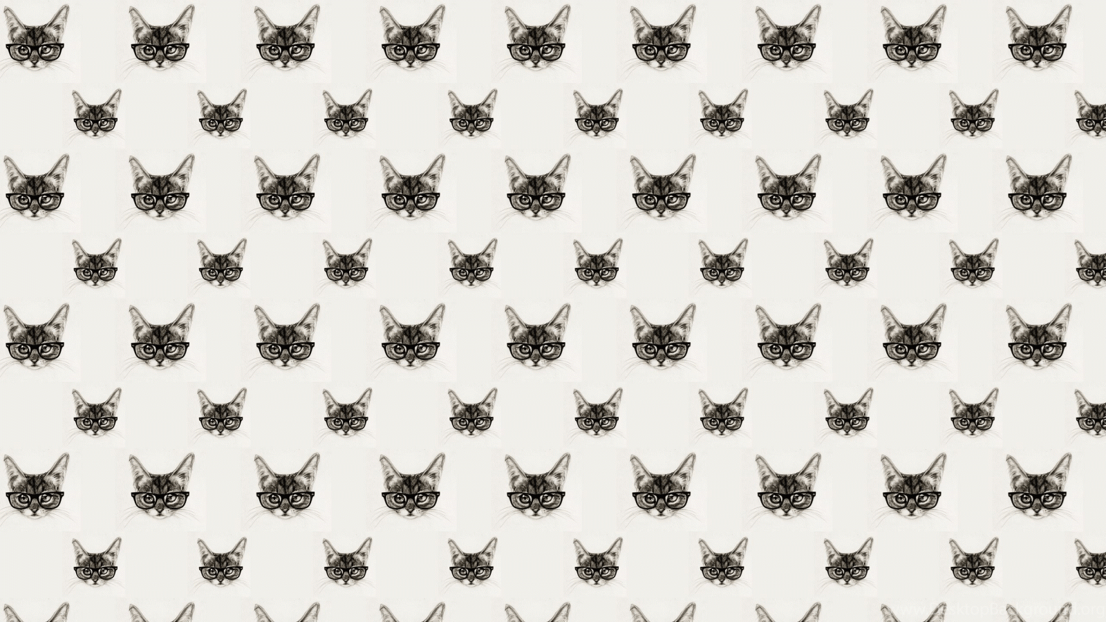 2560x1440 Wallpapers Galaxy Hipster Related Pictures Cat Tumblr Pattern