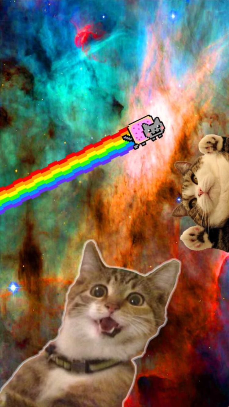 750x1334 Cats in space wallpaper hipster pics iphone - Free HD Wallpapers
