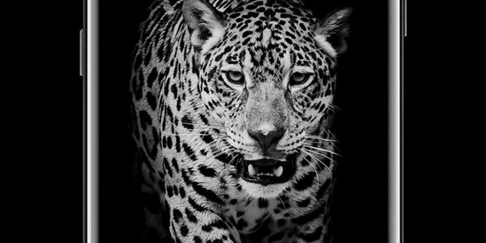 1080x1920 Leopard Dark Black AMOLED Lock Screen Wallpaper for Android - APK