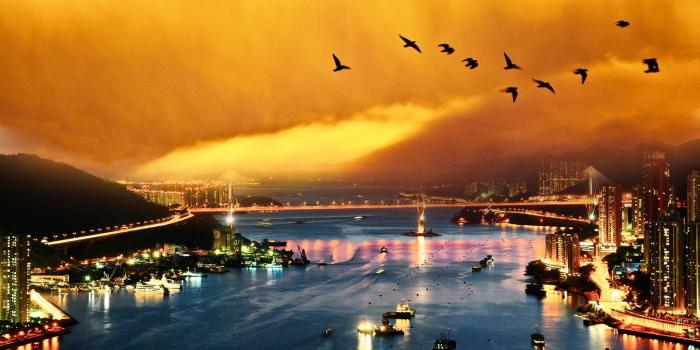 1920x1200 Hong Kong Night View Wallpaper | Free Wallpapers