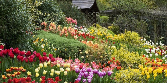 1600x900 Spring English Garden wallpapers (1600 x 900 ) - Flower Wallpaper