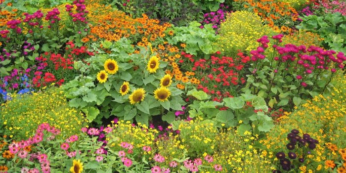 2272x1704 Country Garden Wallpapers - Top Free Country Garden Backgrounds