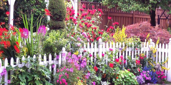 1024x768 Free download Flower Garden Summer Hd Wallpaper With Resolutions