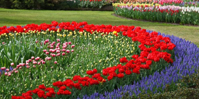 1280x853 flower garden wallpaper,free downloads wallpaper,free wallpaper