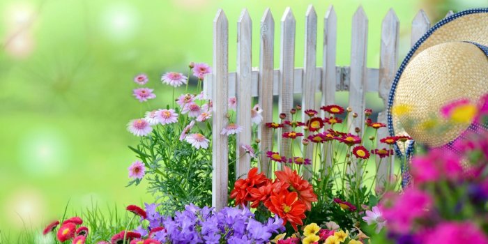 1920x1200 Flower Gardens Wallpapers (59+ images)
