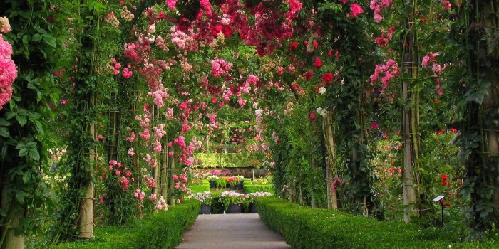 2048x1536 Rose Garden Wallpapers Photo For Desktop Wallpaper 2048 x 1536 px