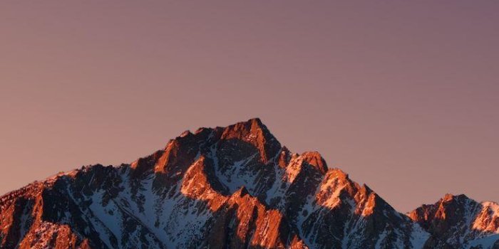 736x1308 IPhone 7 Plus Wallpapers