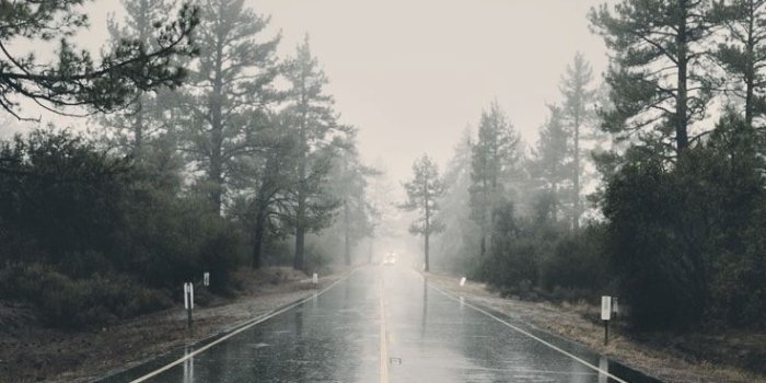 736x1308 31 Wallpapers To Perfectly Match Your New Black iPhone 7 | Preppy