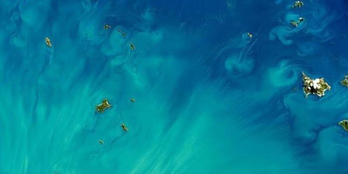 736x1308 50 Hd Iphone 7 And Iphone 7 Plus Wallpapers Dezignhd - 4k Iphone 7