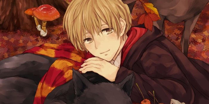 1000x1411 Remus Lupin - Harry Potter - Mobile Wallpaper #1637884 - Zerochan