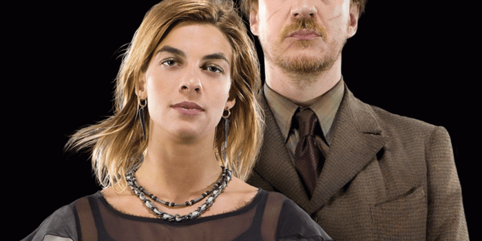 1099x1000 Lupin family | Harry Potter Wiki | FANDOM powered by Wikia