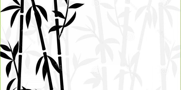 1920x2028 Black And White Vector Wallpaper | lamaison