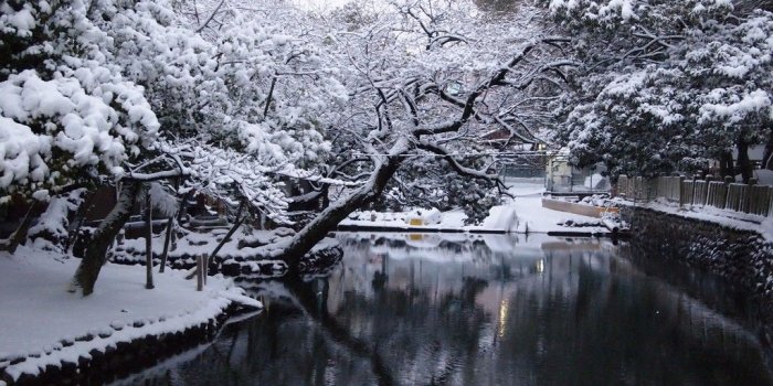 1024x768 Japanese Garden Black And White Wallpaper - simplechurch.us