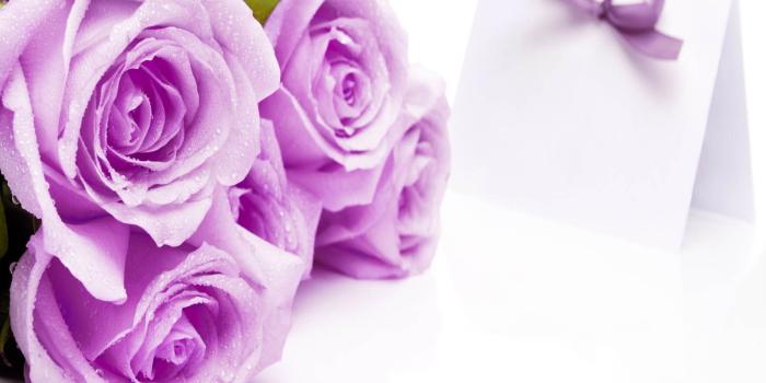 1600x1200 Beautiful Rose Flowers Wallpapers