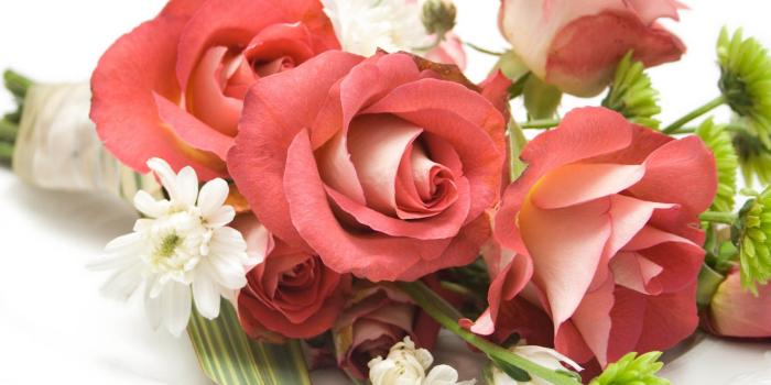 2560x1600 Bouquet Composition Beautiful Roses Flowers Wallpaper - Free
