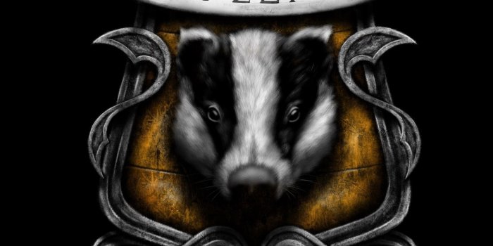 1920x2773 80+ Slytherin Iphone Wallpapers on WallpaperPlay