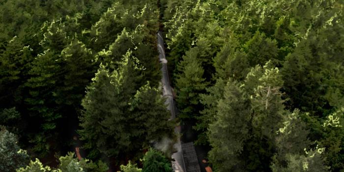 2508x4516 17+] Forbidden Forest Wallpapers on WallpaperSafari