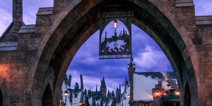 1200x1697 Hogsmeade | I'd rather be at Hogwarts in 2019 | Hogwarts, Harry