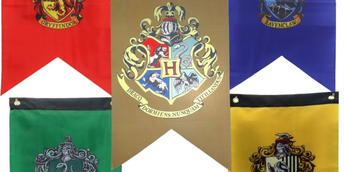 1000x1000 Buy harry potter hogwarts wall banner and get free shipping on