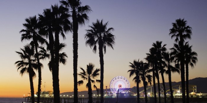 1680x1050 55+ Los Angeles Palm Trees Wallpapers - Download at WallpaperBro