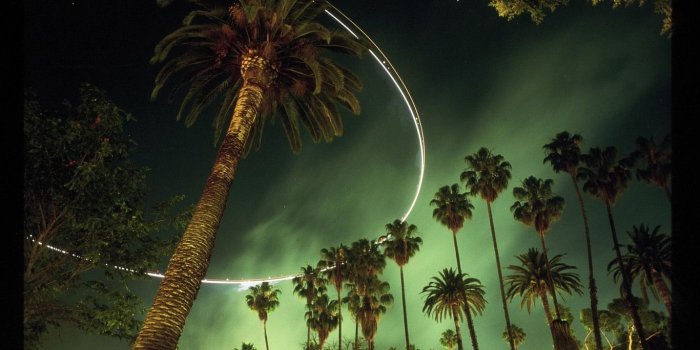 1366x768 Free download La Palm Trees Wallpaper Los angeles palm trees by