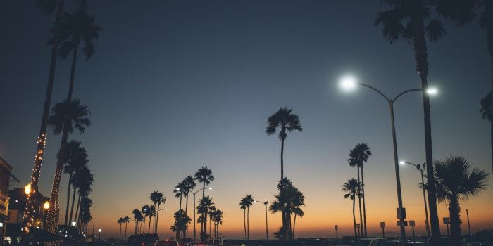 1920x1200 Los Angeles Palm Trees Wallpaper (75+ images in Collection) Page 1