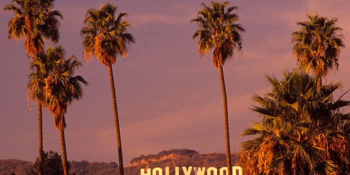 1600x1200 48+] California Palm Trees Wallpaper on WallpaperSafari