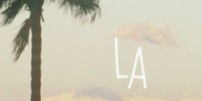 736x1309 La Palm Trees Wallpaper Iphone - Best Tree In The Forest