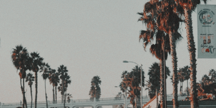 750x1334 California like/reblog if you save