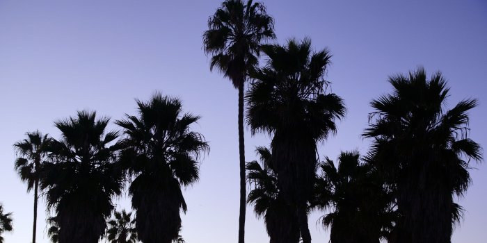 3840x2160 16127 venice beach los angeles wallpapers