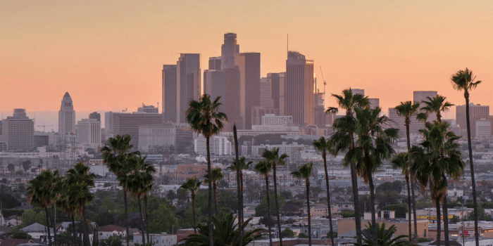 1920x1080 Day to night transition time lapse Los Angeles downtown and palm trees in  foreground Stock Video Footage - Storyblocks Video