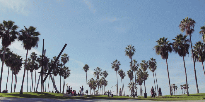 1920x1080 Los Angeles Palm Trees Wallpaper (75+ images in Collection) Page 2