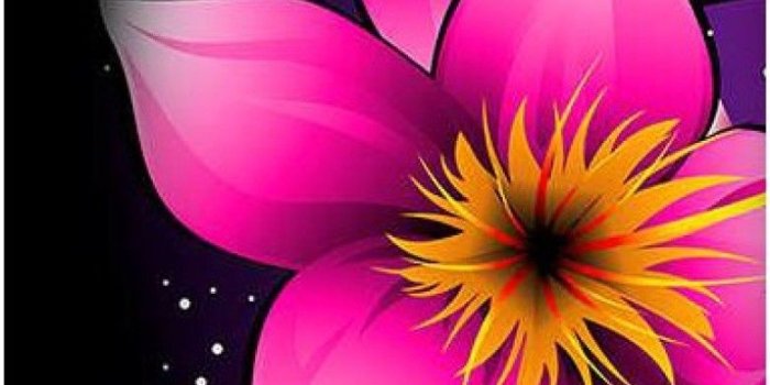 781x1664 OBOkart Back Cover for Samsung Galaxy J6, Samsung Galaxy J6