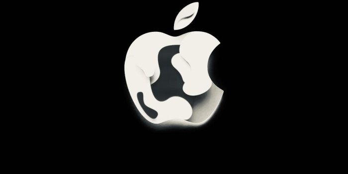 1242x2688 Apple Logo Black and White | For Oled screen walls in 2019 | Apple