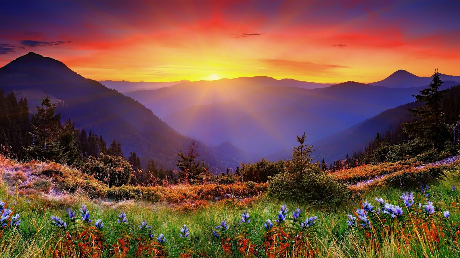 3840x2160 New Zealand, Landscape Wallpapers HD / Desktop and Mobile Backgrounds