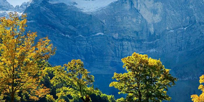 4608x864 Triple monitor 4608x864 wallpapers | Backgrounds for triple screen