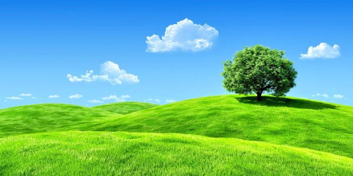 1920x1080 3520 full screen desktop wallpapers